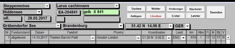 FullSizeRender-5