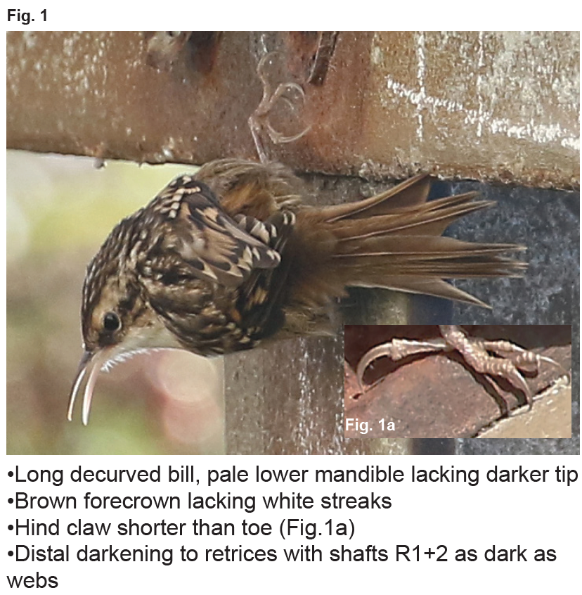 Screen Shot 2019-12-27 at 18.22.29