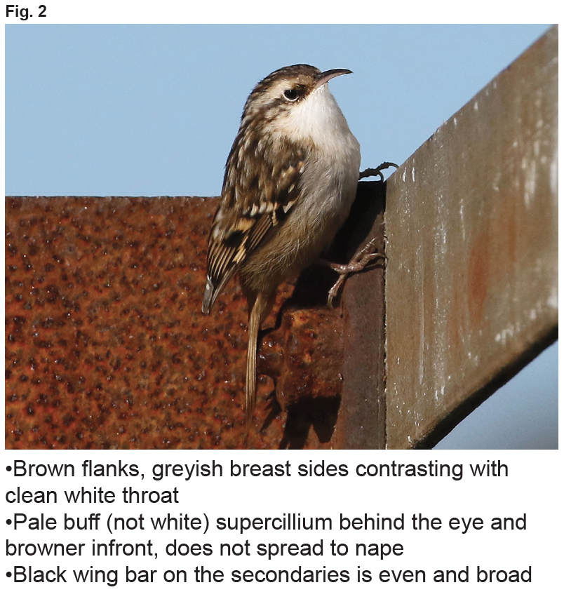 Screen Shot 2019-12-27 at 18.22.43