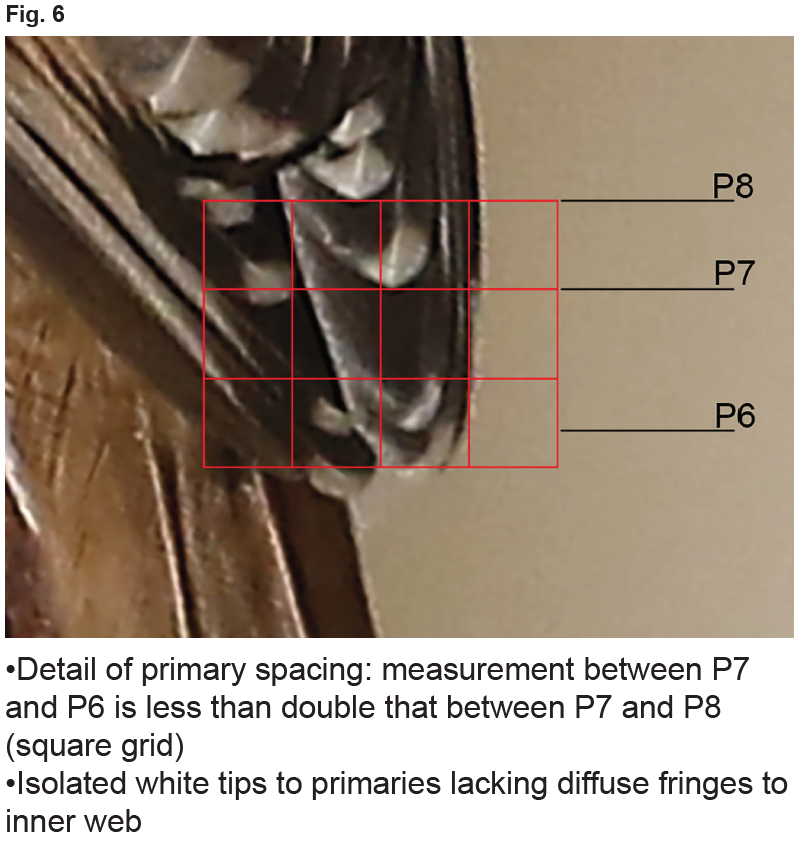 Screen Shot 2019-12-27 at 18.23.27