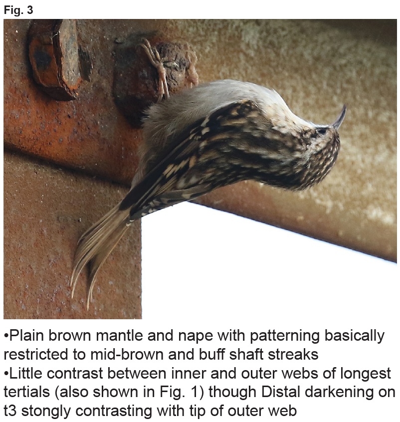 Screen Shot 2019-12-27 at 21.14.12